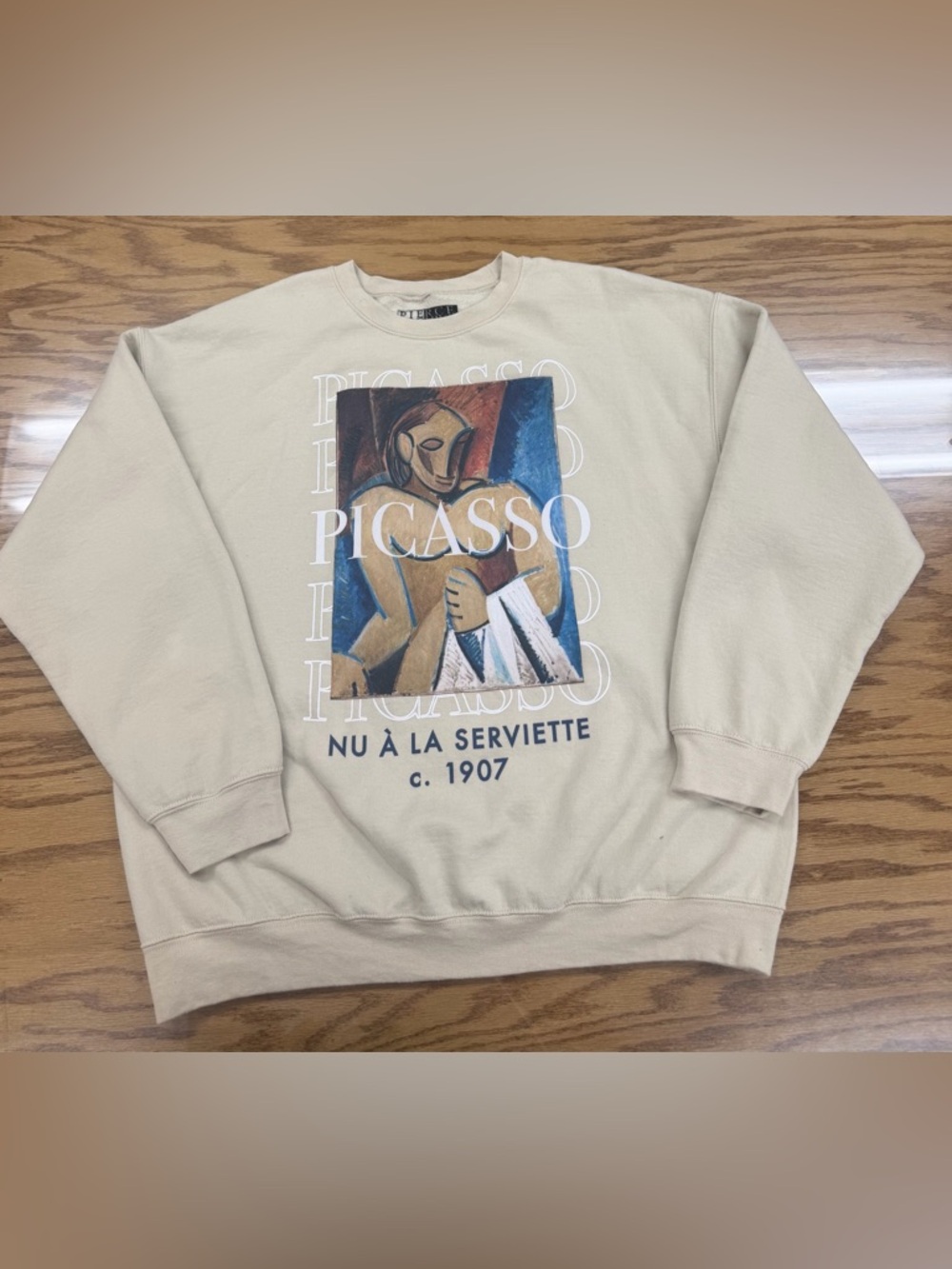 Pierce Archive Picasso Nu A La Serviette Art Sweatshirt Crewneck XL 24.5 x 27.5